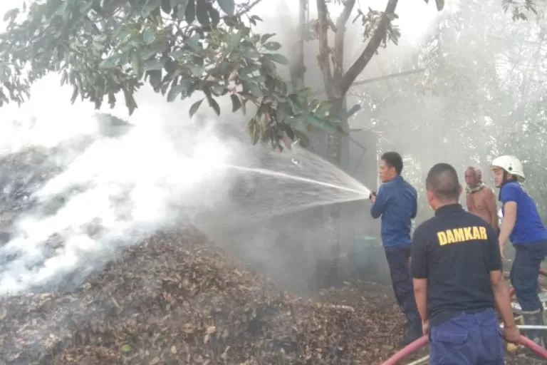 Pabrik Penyulingan Daun Cengkeh Ludes Dilalap Si Jago Merah, Kerugian Ditaksir Ratusan Juta