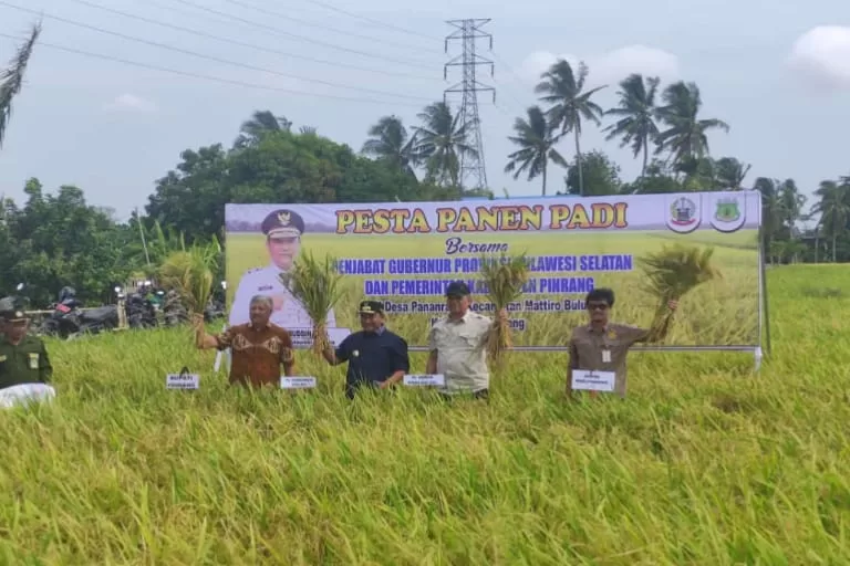 Pj Gubernur Bahtiar Pimpin Panen Raya Padi Pinrang, Dorong Pemanfaatan Pematang Sawah