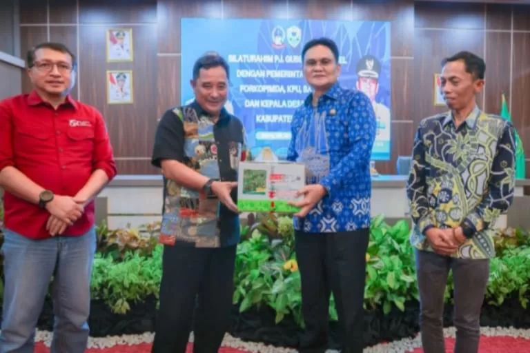 Dukung Program Penanaman Pisang Cavendish, Pj Gubernur Sulsel Kunjungi Pemkab Barru