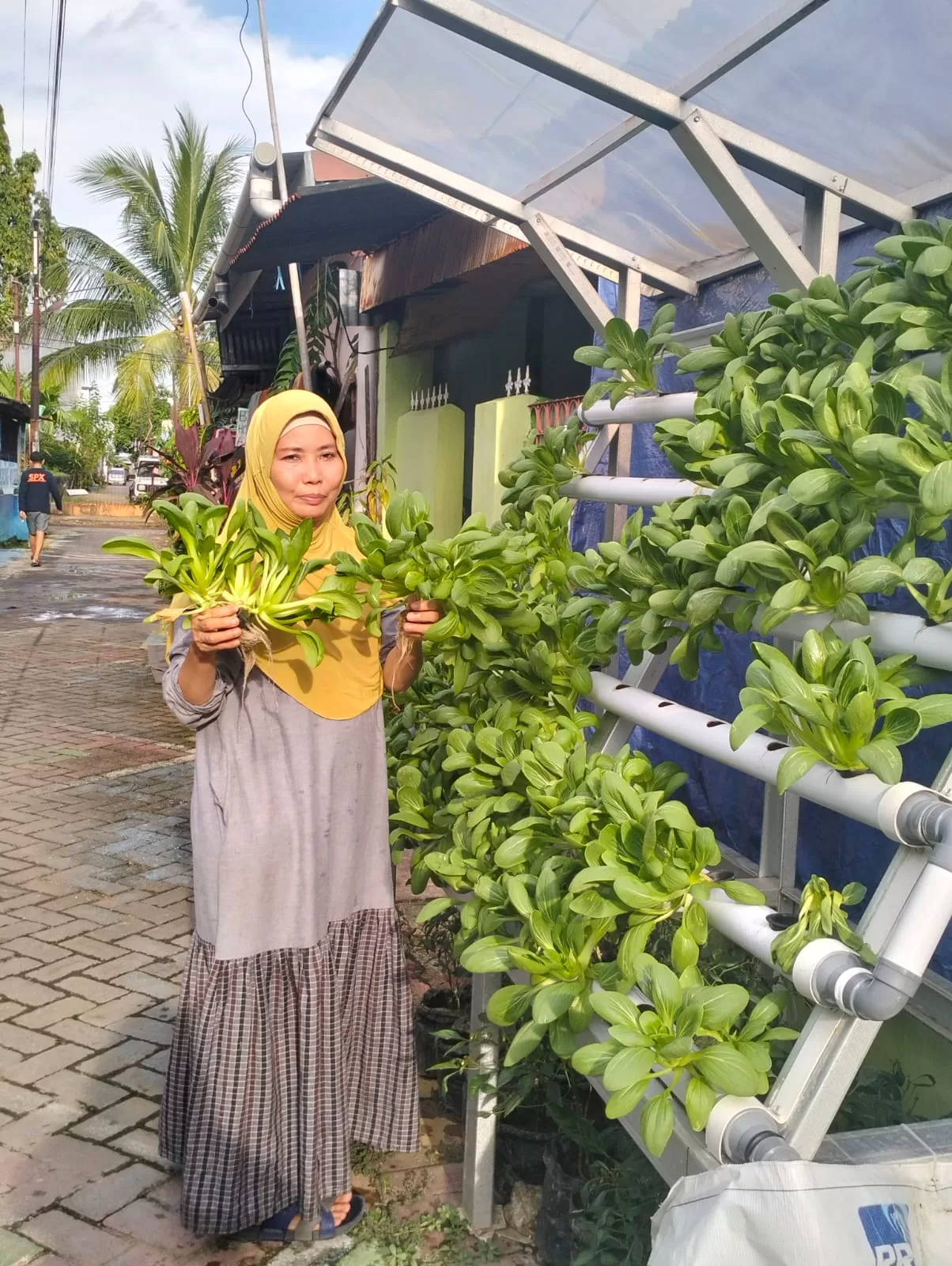 Warga Longwis di Kassi-kassi Manfaatkan dengan Baik Hidroponik Bantuan Pemkot