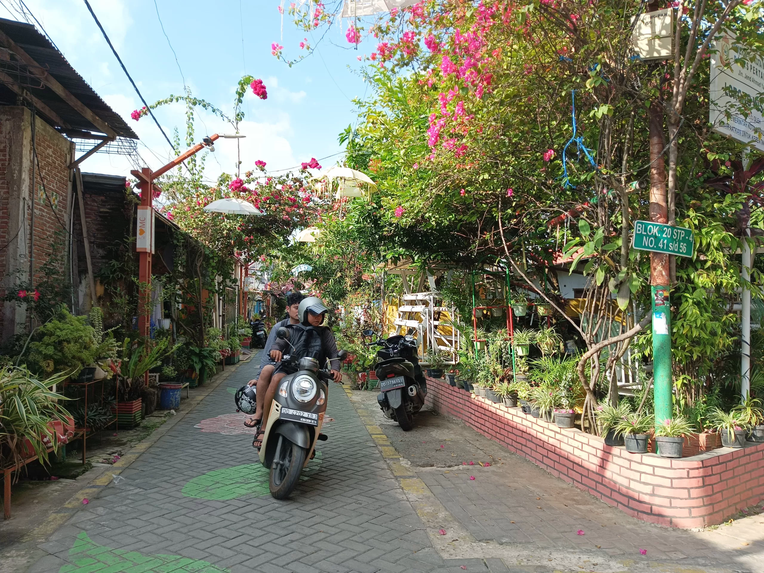 Dinkes Akan Ciptakan Lorong Sehat, Bentuk Program Khusus