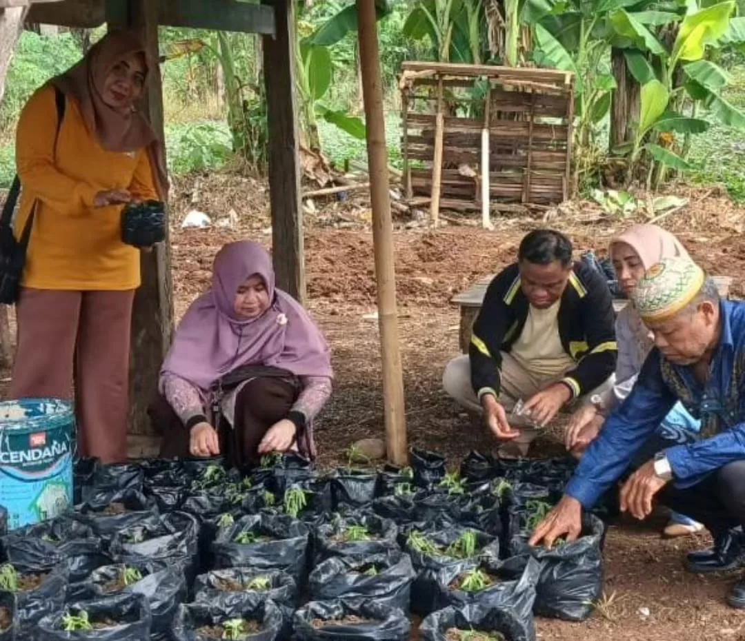 Warga Longwis Tunggu Pembagian Bibit Cabai