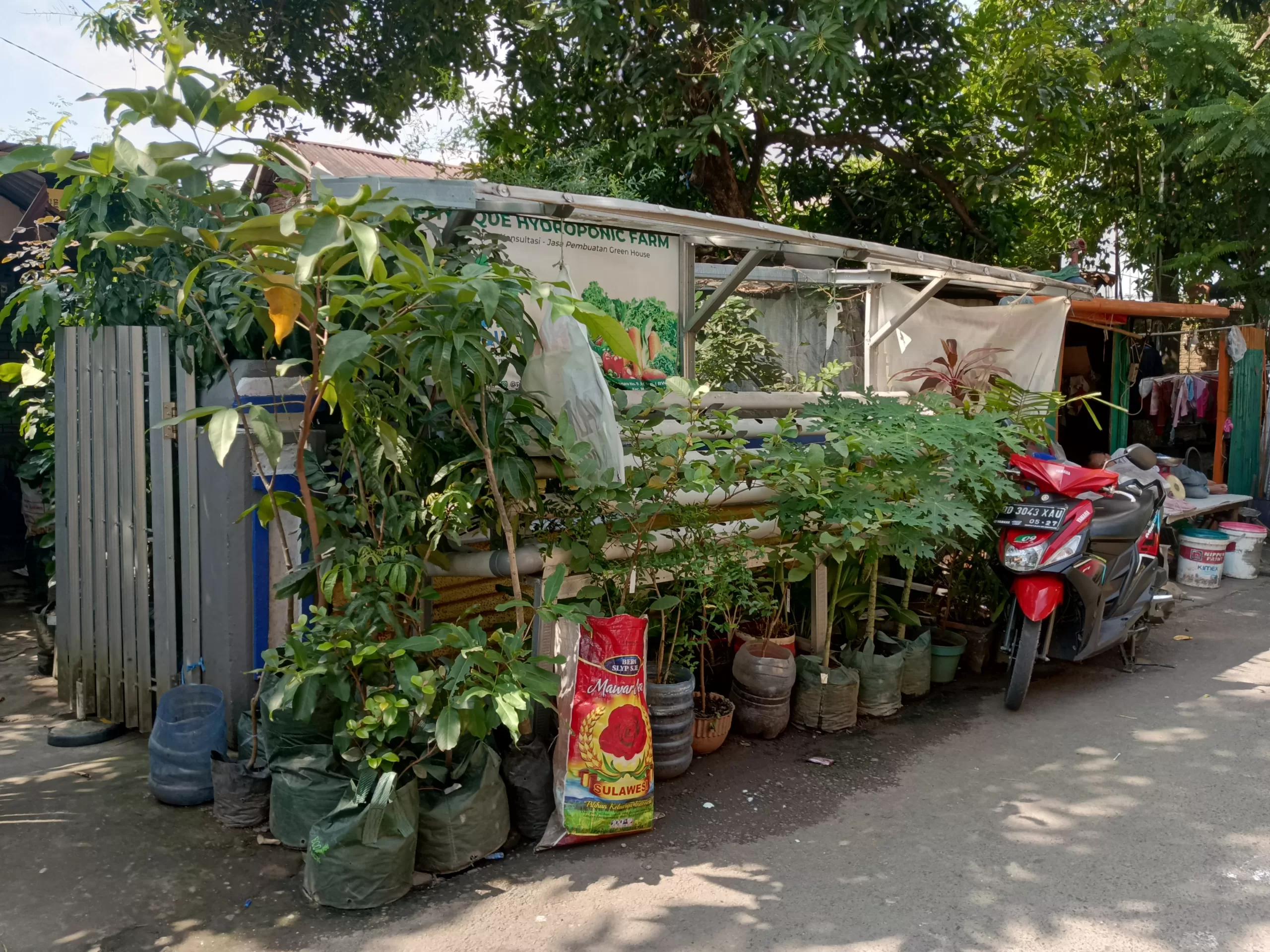 Delor Dorong Pembentukan Kelompok Tani di Longwis