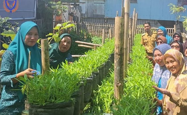 KWT di Longwis Terus Kembangkan Pertanian