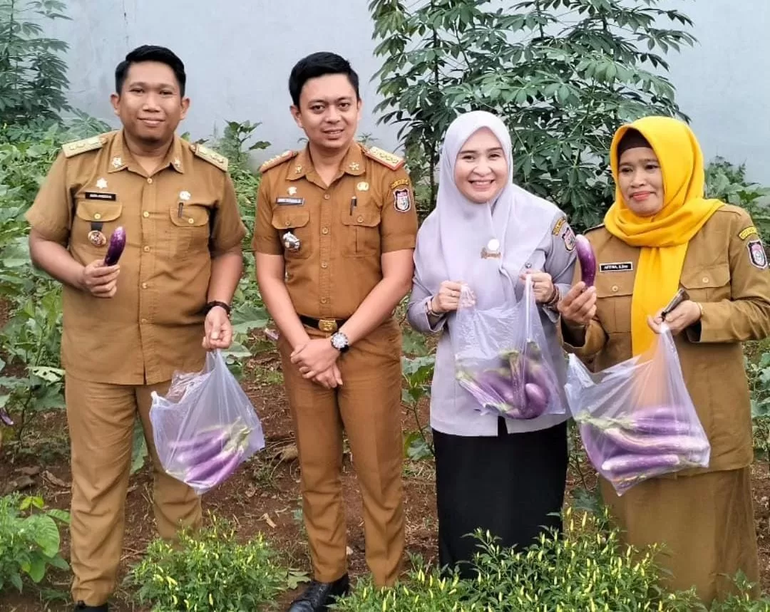 KWT Sudiang Raya Panen Sayur dengan Pemerintah Kecamatan di Longwis