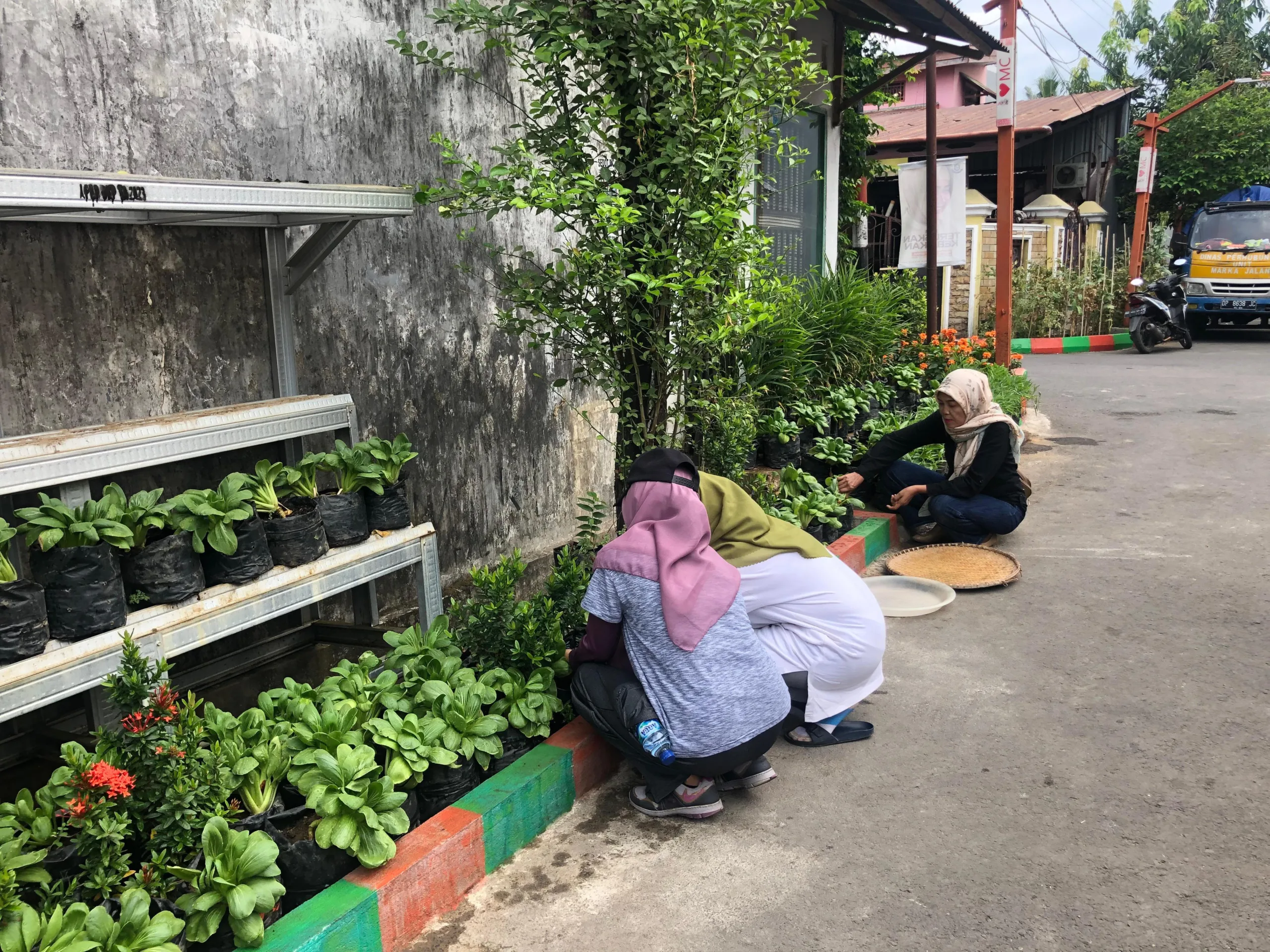 Tekan Angka Stanting di Longwis Lewat Program Lopis