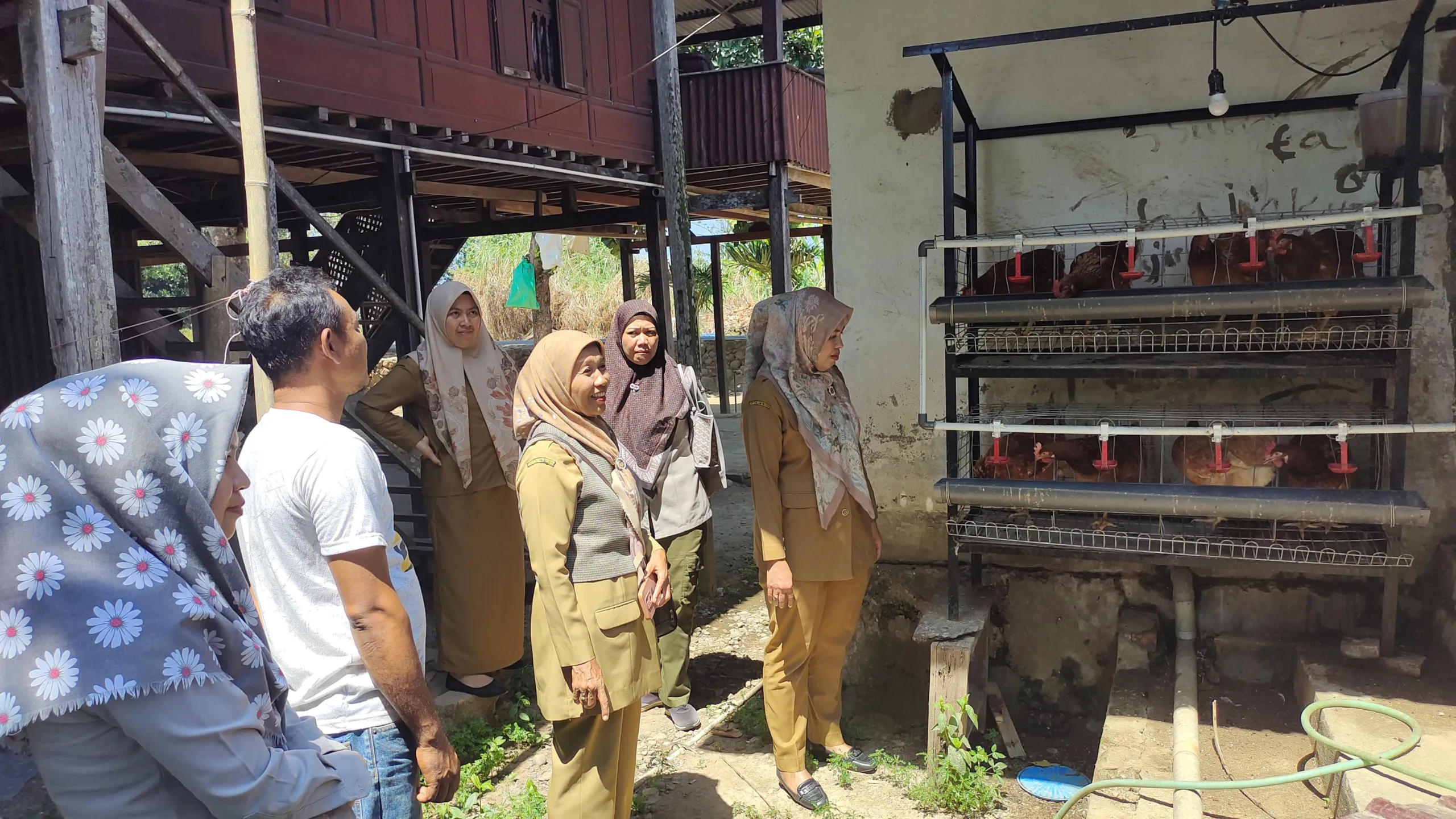 DP2 Monitoring Penerima Bantuan Ayam Petelur di Longwis