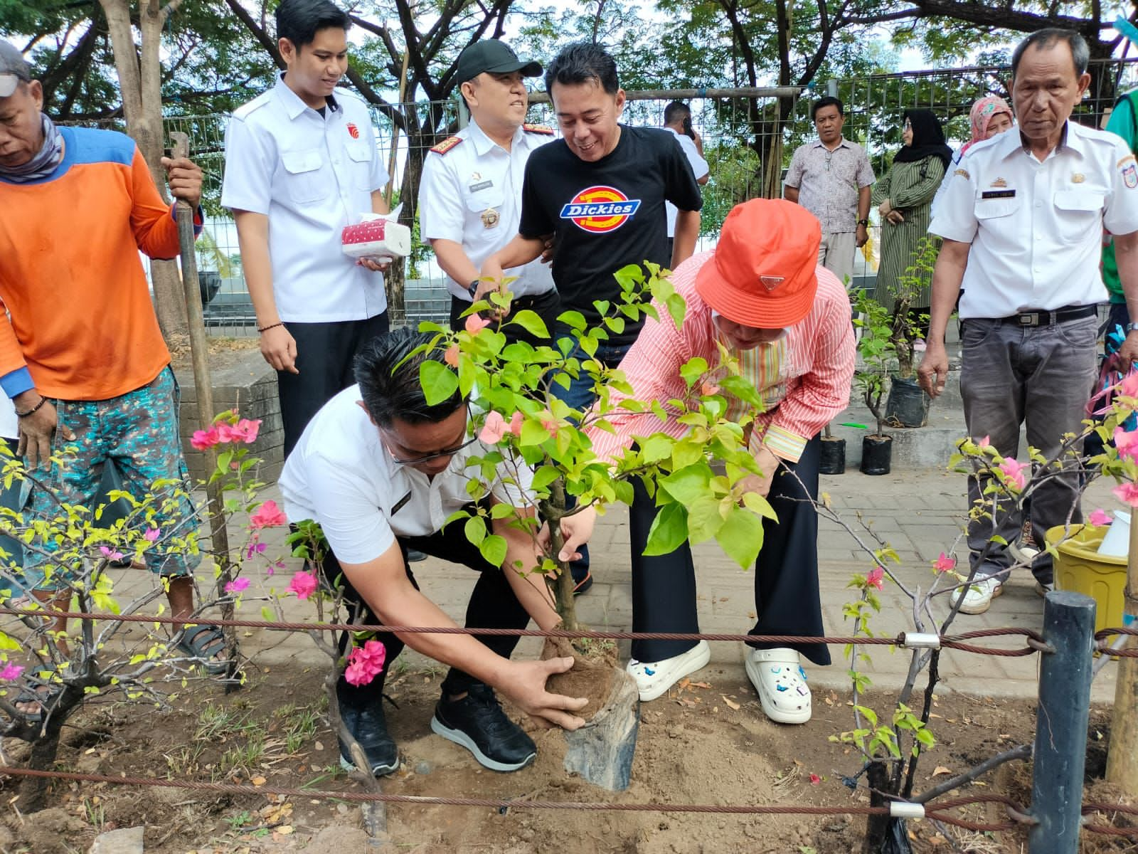 Teduhkan Makassar, Ketua TP PKK Indira Yusuf Islmail Tanam Pohon Tabebuya